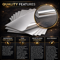 Avarrix Metallic Silver Holographic Vinyl Sticker A4 — printed result example